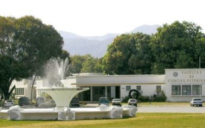 Colectivos armados ingresaron al campus de la UCV Maracay