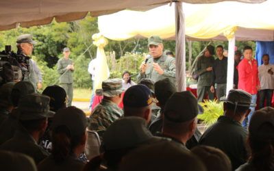 Ministro de la defensa denunció infiltración colombiana en FANB