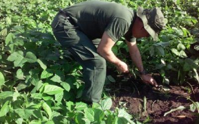 FANB ofrece garantizar a través de las REDI la producción agroalimentaria para la soberanía y autosustentabilidad de la nación