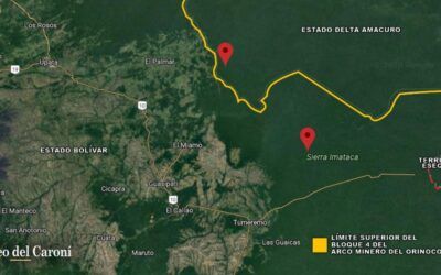 Régimen de Maduro crea compañía y zona militar de desarrollo forestal en área entre Bolívar y Delta Amacuro