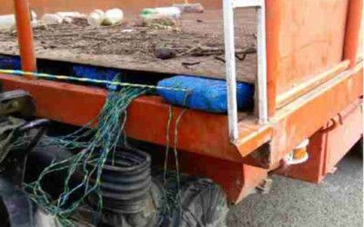 FANB decomisó 179 panelas de drogas en Guárico