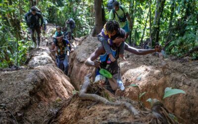 FAN halla una nueva fosa común en Bolívar y destruye garitas de Las 3R