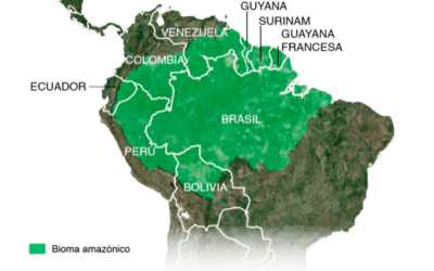 La reactivación del Tratado de Cooperación Amazónica, obligaría a Venezuela a suprimir la actividad minera, anarquizada e ilegal que permite en su territorio. 