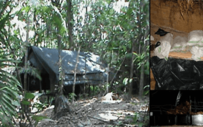 Destruyeron 5 ‘narcolaboratorios’ en el Sur del Lago