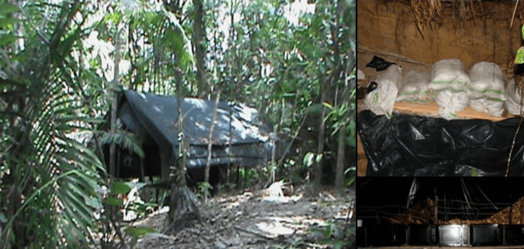 Destruyeron 5 ‘narcolaboratorios’ en el Sur del Lago